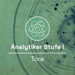 Analytiker Stufe 1